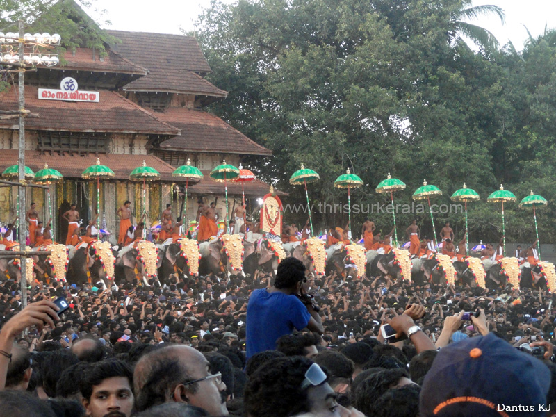 thrissur-pooram-2013-2 (11)